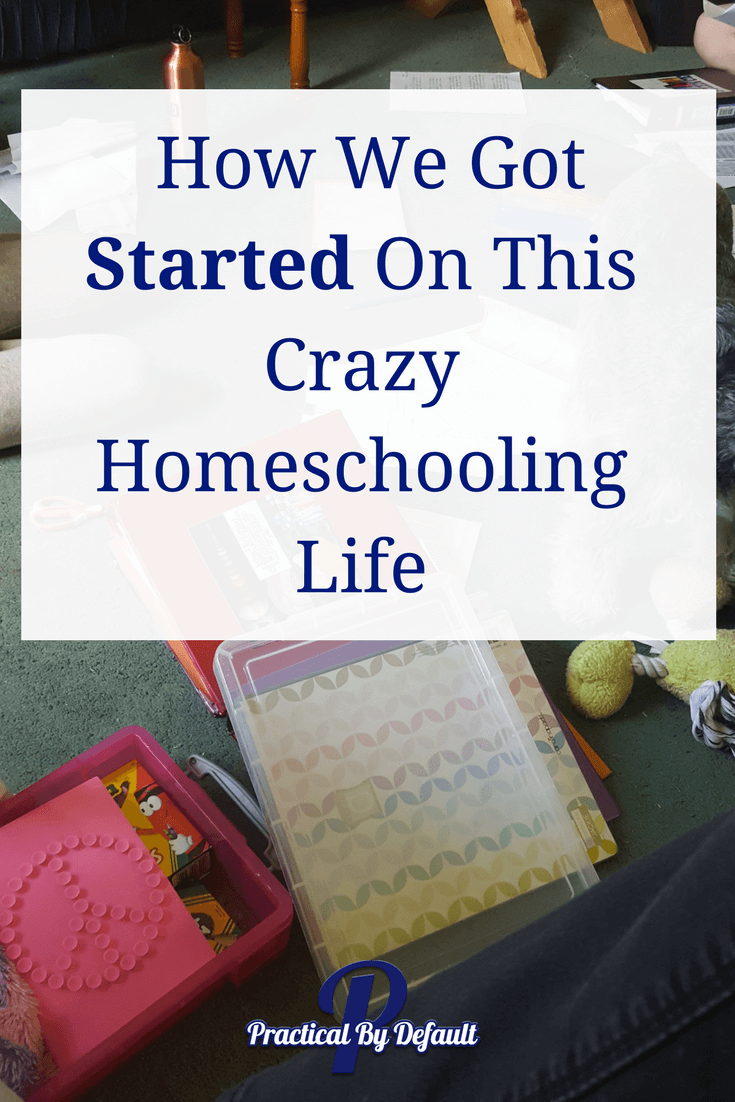 Did you wonder who we got started in this crazy homeschool life?