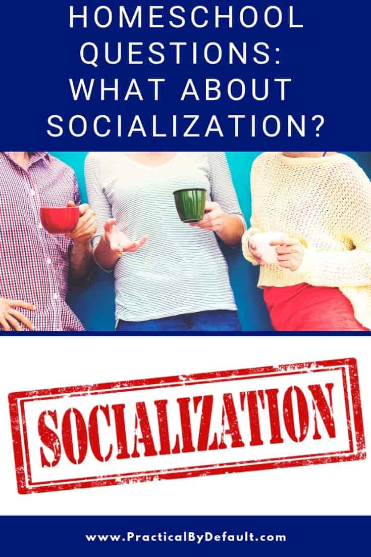 Why I don't worry about socialization in my homeschool and what we really would like to say to those that ask. #socialization #homeschool