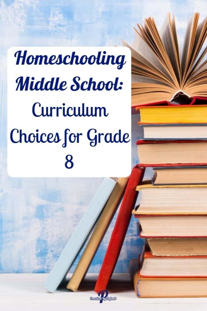 Grade 8 homeschool program choices