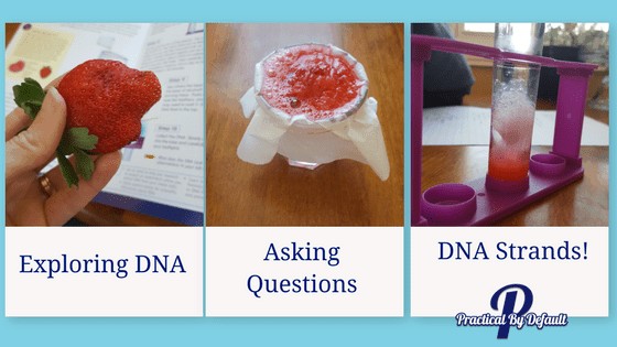 Exploring DNA with Little Passports Science Expeditions. BIG fun for BIG kids!