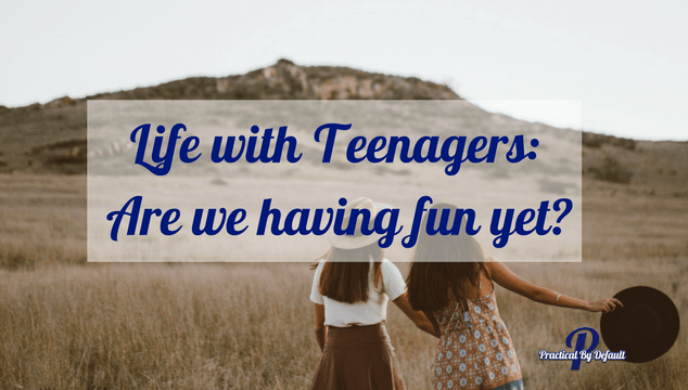 Life with Teenagers: Are we having fun yet?