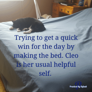 Everyone needs a quick win, making the bed is usually mine. Thanks Cleo for helping. 