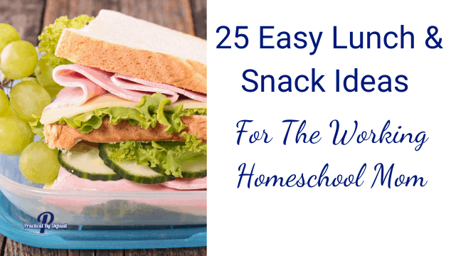 25 Easy Lunch & Snack Ideas For A Busy Homeschool Mom