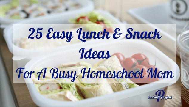 Great lunch and snack ideas for the busy working homeschool mom!