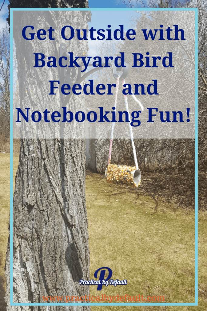 Are you wondering how to learn more about the birds in your backyard? Get Outside with Backyard Bird Feeder and Notebooking Fun!