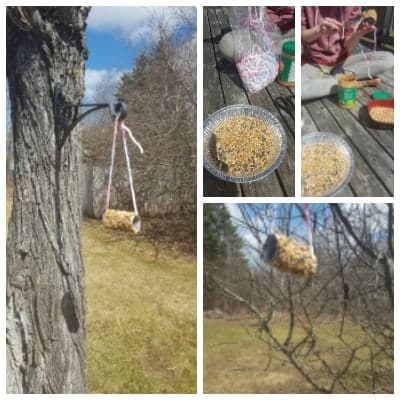 Toilet paper roll bird feeder 