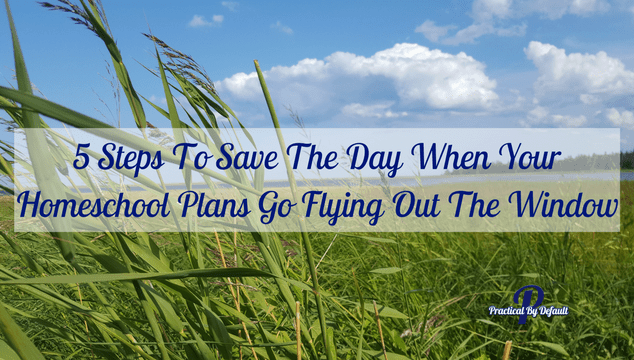 5 Steps To Save The Day When Your Homeschool Plans Go Flying Out The Window