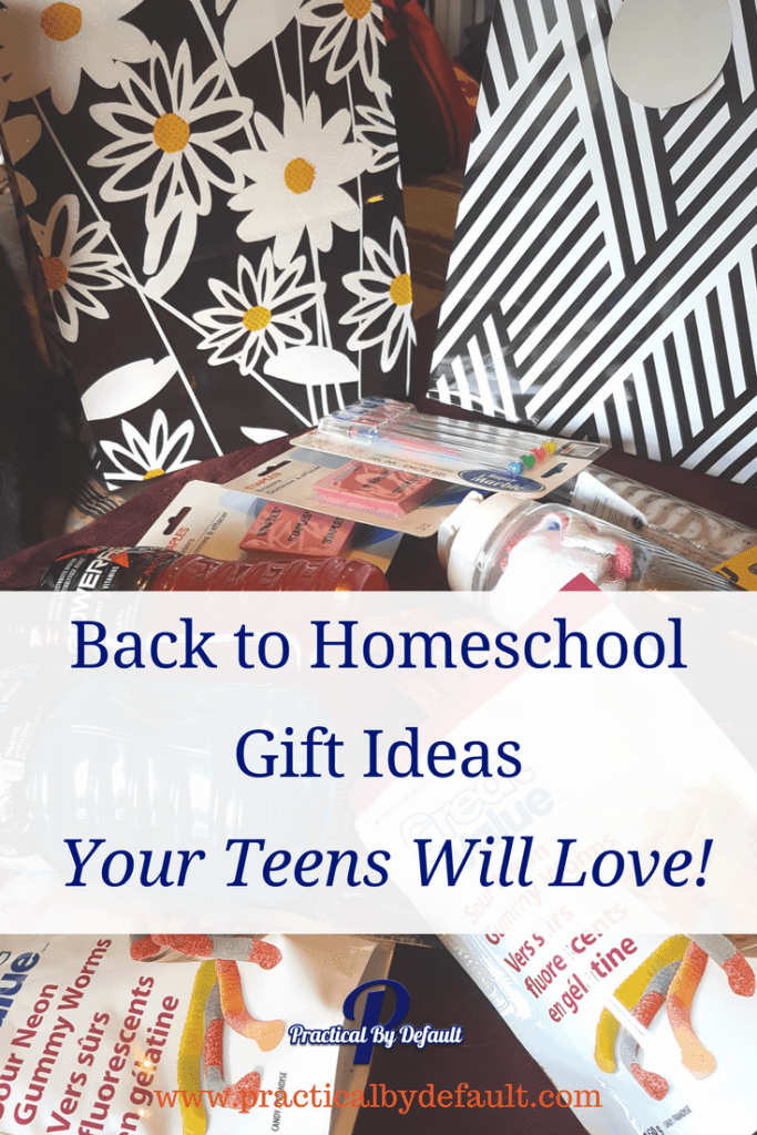 Finding gift ideas for teens can be hit or miss. Check out or favorite gift bag items for teens! 