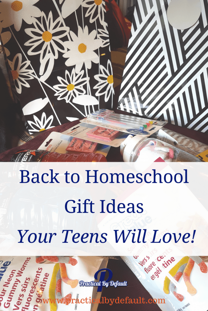 https://practicalbydefault.com/wp-content/uploads/2017/09/Back-to-Homeschool-gift-Ideas-for-teens-683x1024.png