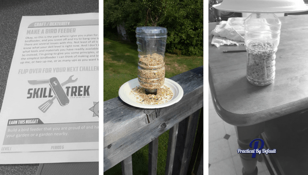 Solving problems by building bird feeders with Skill Trek