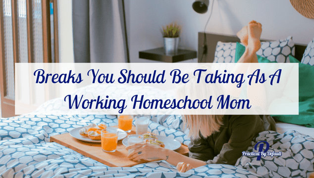 As the holiday approaches life can get pretty crazy. Homeschooling, working, life. It can get to be just too much. Check out these breaks you should be taking.