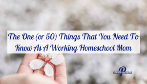 The One (or 50) Things That You Need To Know As A Working Homeschool Mom