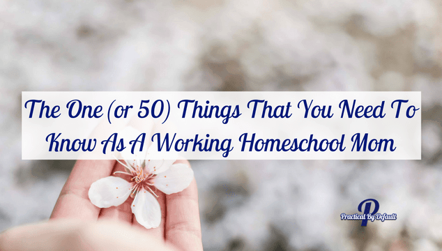 The One (or 50) Things That You Need To Know As A Working Homeschool Mom