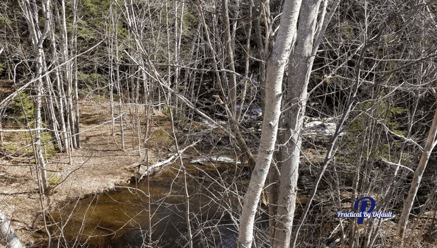 simple walk in the woods and spend time with your kids