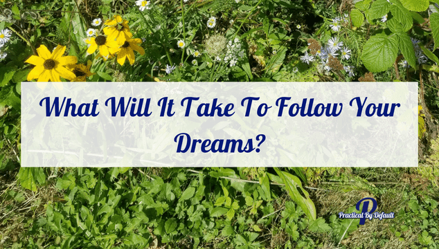 What Will It Take To Follow YOUR Dreams?