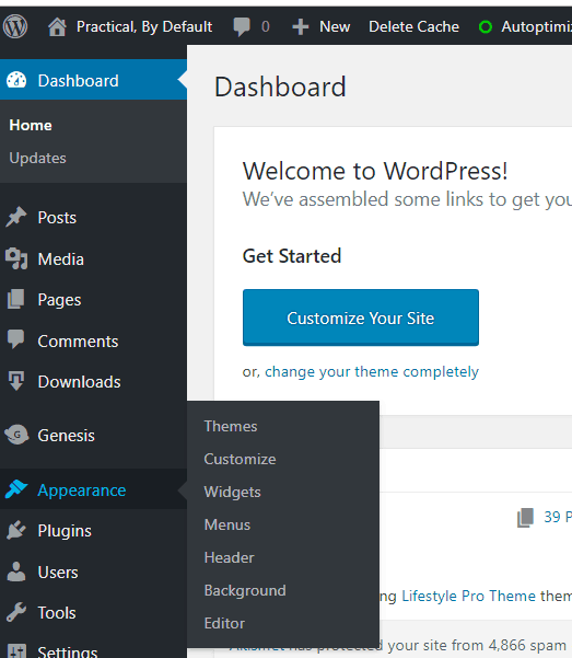 Step one installing a free WordPress Theme