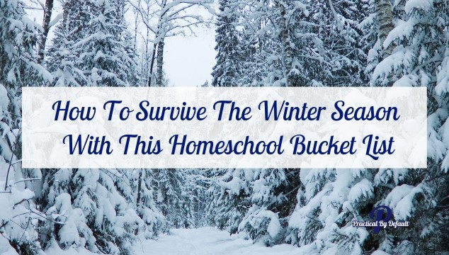 Winter Bucket List ideas for fun