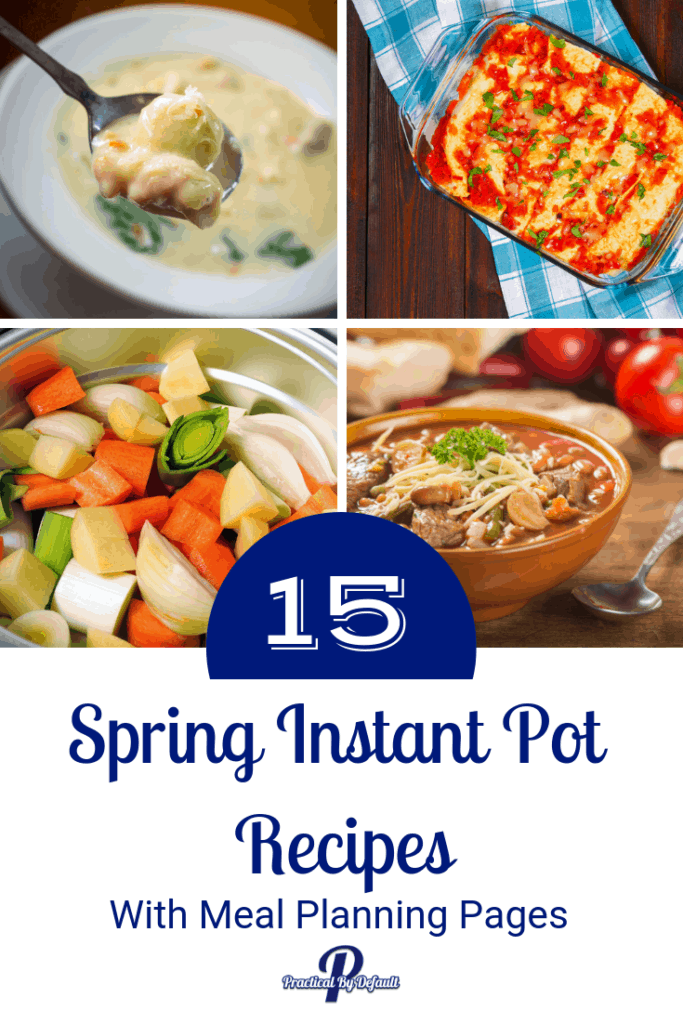 Instant Pot Recipes For Meal Planning For Busy Moms
