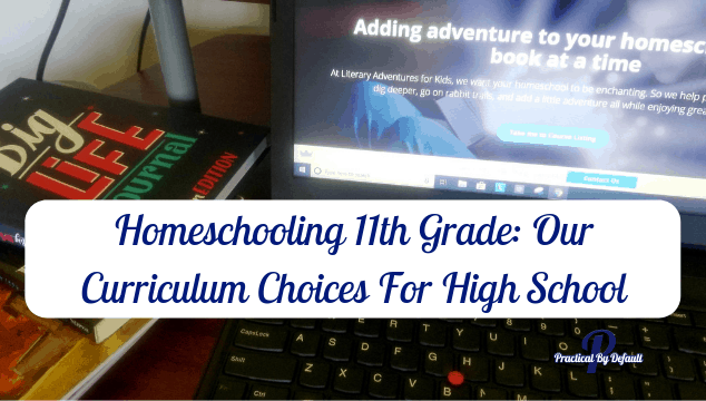 Homeschooling 11th Grade: Our Curriculum Choices For High School