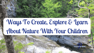 30+ Nature Study Ideas for Busy Moms: Explore & Learn Together