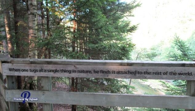 John Muir quote found on our nature walk 