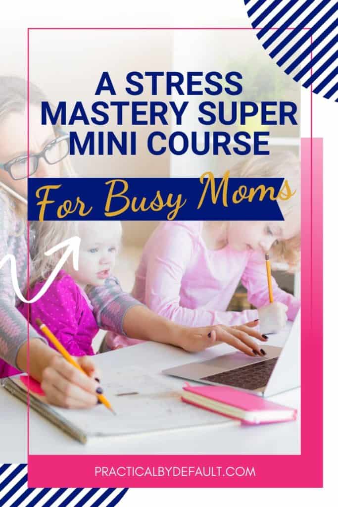 A stress mastery course designed for busy moms