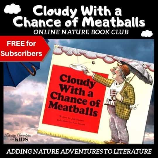 cloudy book club