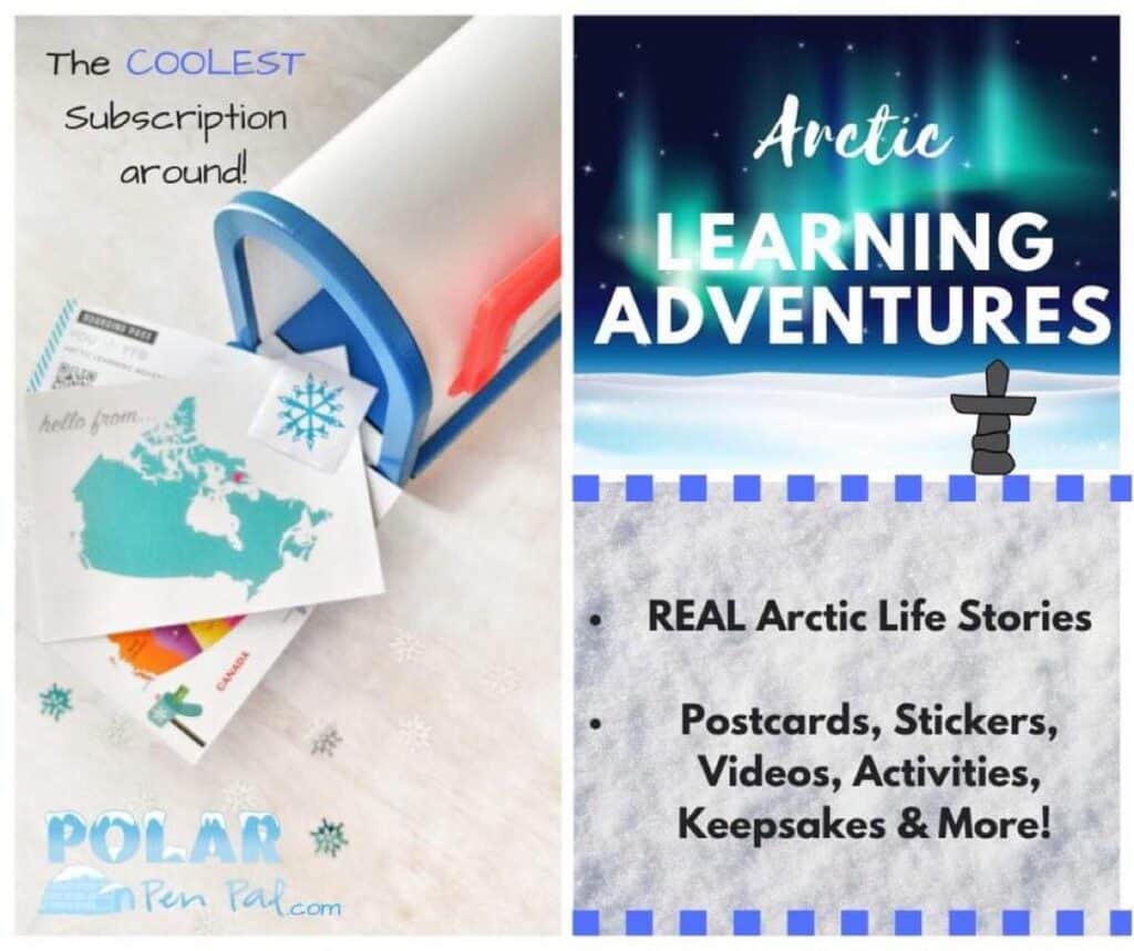 Polar pen pal kits for kids. 